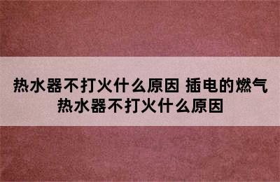 热水器不打火什么原因 插电的燃气热水器不打火什么原因